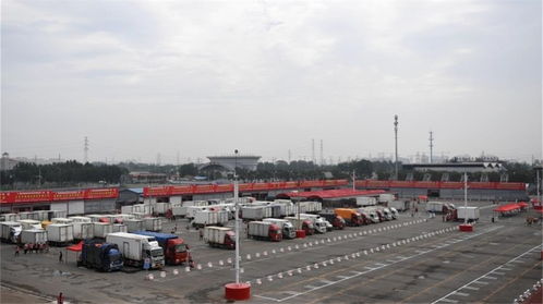 中国网新闻中心 电商平台助力农产品销售，传递中国价值