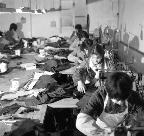 浙江省第十八届摄影艺术展纪录 长期关注单元入选作品聚焦网上农产品销售新气象