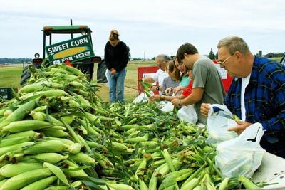 指尖连市场，田地变金仓 当代农民致富新路径——网上销售农产品