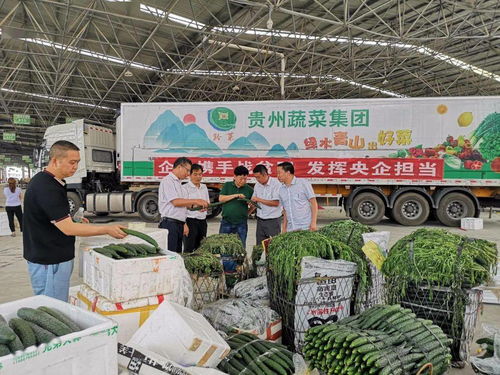 喜讯！关岭县6万余斤农特产品正式入驻天虹商场，网上销售开启新篇章