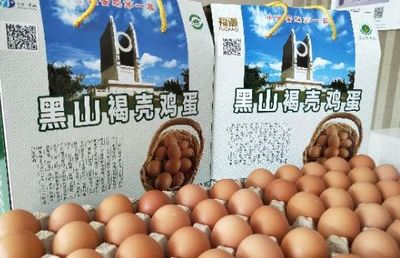 赞!辽宁省锦州黑山褐壳鸡蛋成为全国唯一蛋类国家级农产品地理标志示范样板!