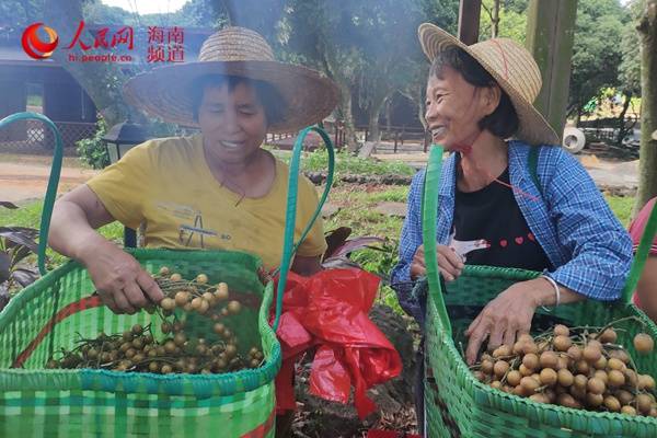 海口永兴 土产品 直销 进了城 销路宽了农户笑了