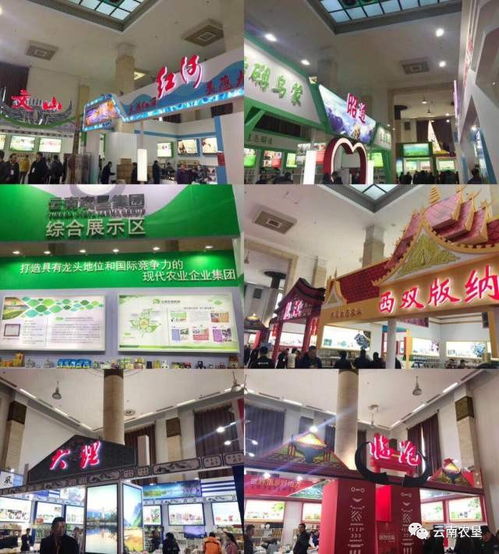 云品进京 千种地道云南味线上热销，关注度超越百万