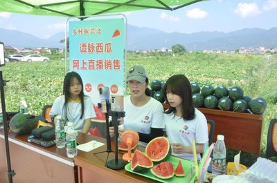 肇庆怀集 甜脆西瓜撬动上亿元产业，网上销售拓宽农产品出路